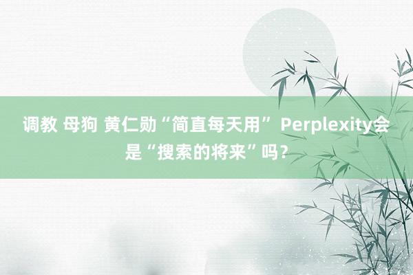 调教 母狗 黄仁勋“简直每天用” Perplexity会是“搜索的将来”吗？