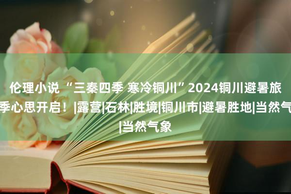 伦理小说 “三秦四季 寒冷铜川”2024铜川避暑旅游季心思开启！|露营|石林|胜境|铜川市|避暑胜地|当然气象