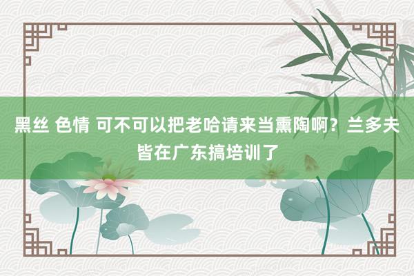 黑丝 色情 可不可以把老哈请来当熏陶啊？兰多夫皆在广东搞培训了