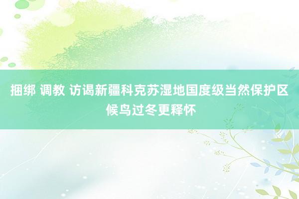 捆绑 调教 访谒新疆科克苏湿地国度级当然保护区 候鸟过冬更释怀