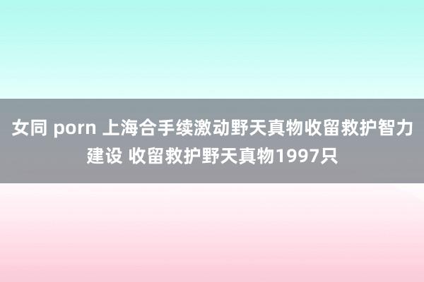 女同 porn 上海合手续激动野天真物收留救护智力建设 收留救护野天真物1997只