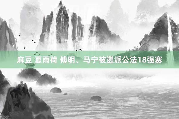 麻豆 夏雨荷 傅明、马宁被遴派公法18强赛